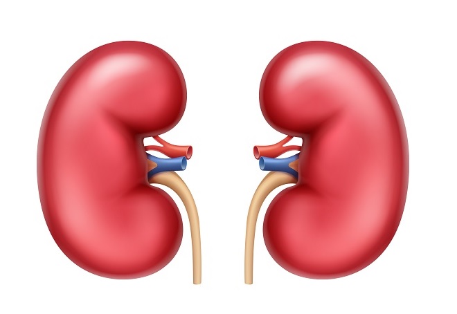 kidney transplant in Ahmedabad